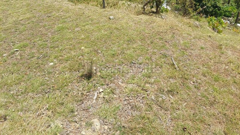 ₹75 Lac | 5 nali agriculture land for sale  in lansdowne, uttarakhand