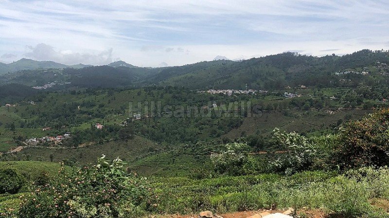 ₹1.50 Cr | 56 cents tea estate for sale  in selas coonoor