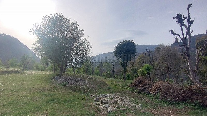 ₹80 Lac | 10 biswa residential plot for sale  in mandi kullu-manali