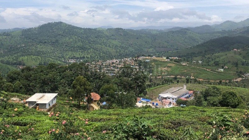₹1.50 Cr | 56 cents tea estate for sale  in selas coonoor