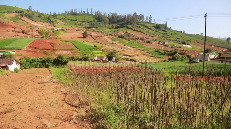 ₹40 Lac | 20 cents Residential Plot For Sale in Basavakal Ooty