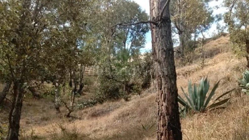 ₹1.25 Cr | 1000 sq.meter residential plot for sale in nathuakhan, mukteshwar nainital