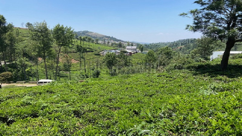 ₹10 Cr | 2.07 acres agriculture land for sale in kettikombai road kotagiri