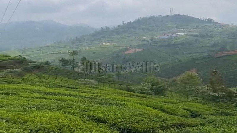 ₹3 Cr | 3 acres tea estate for sale  in yedakkad ooty