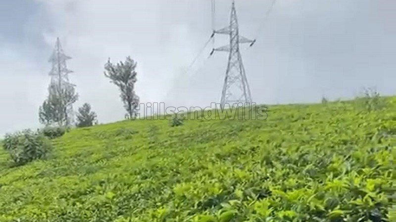 ₹3 Cr | 3 acres tea estate for sale  in yedakkad ooty