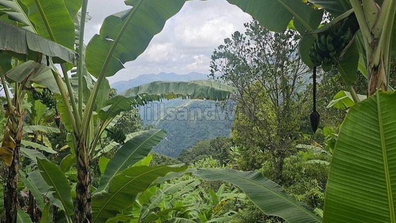 ₹7.26 Cr | 22 acres agriculture land for sale  in vadakavunji kodaikanal