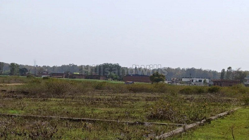 ₹45 Lac | 300 sq.yards residential plot for sale  in sabhawala dehradun