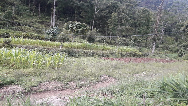 ₹1.60 Cr | 1 acres commercial land  for sale in sinji kalimpong darjeeling