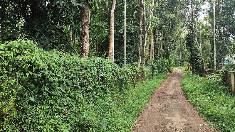 ₹40 Lac | 92 cents agriculture land for sale  in koleri wayanad