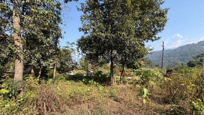 ₹90 Lac&nbsp;|&nbsp;20 decimal residential plot for sale  in mirik bunkulung near darjeeling