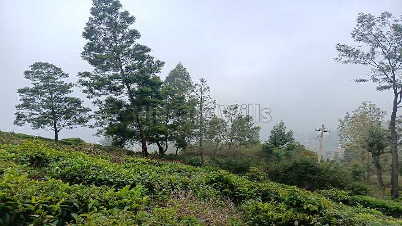 ₹1.30 Cr | 1.45 acres agriculture land for sale in bengalmattam ooty