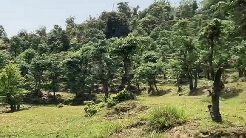 ₹4.50 Cr | 40 nali agriculture land for sale in almora near nainital