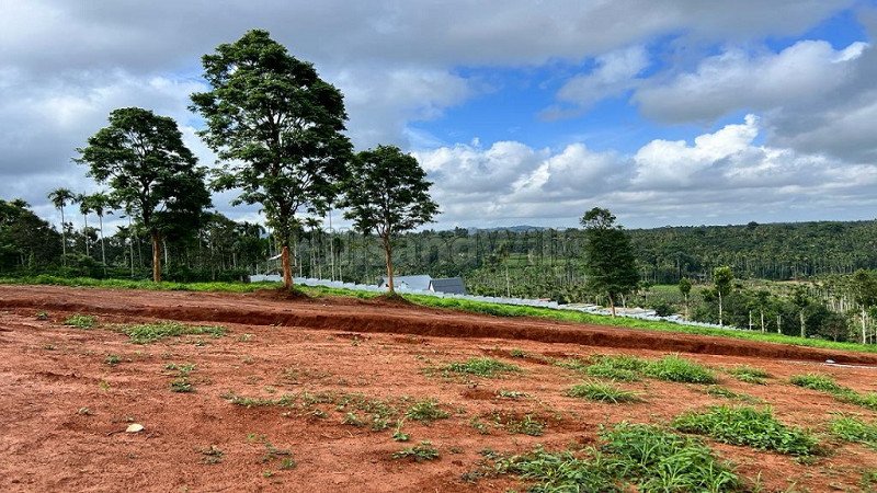 ₹11.50 Cr | 10 acres residential plot for sale  in vaduvanchal wayanad