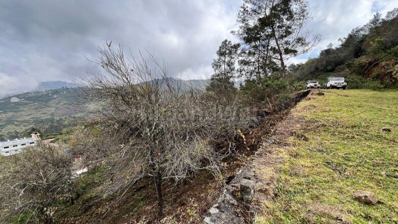 ₹48.75 Lac | 6.5 cents  dtcp approved gated community plot for sale  in kodaikanal