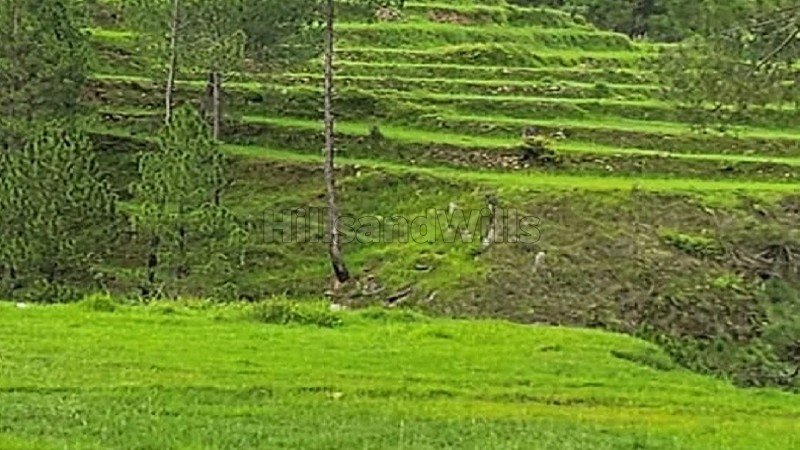 ₹22 Lac - 45 Lac | 240 sq.yards - 500 sq.yards residential plot for sale  in almora near nainital