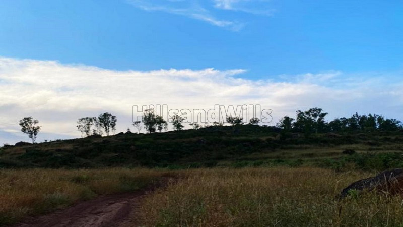₹80 Lac | 23 guntha Agriculture Land For Sale in Kaswand Panchgani