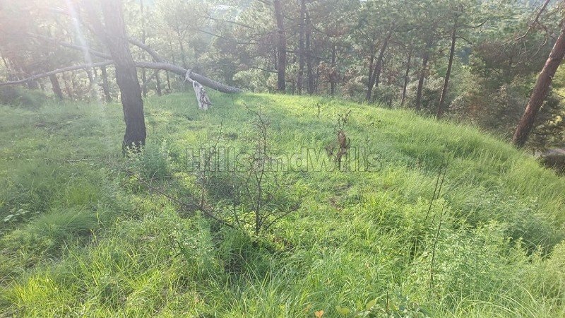 ₹50 Lac | 10800 sq.ft. commerical land for sale  in almora near nainital