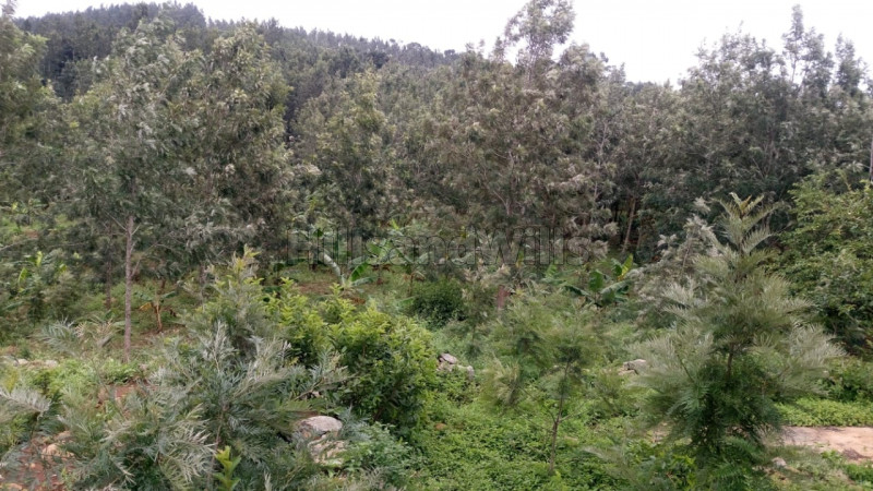 ₹1 Cr | 2.2 acres Agriculture Land For Sale in Kolli Hills