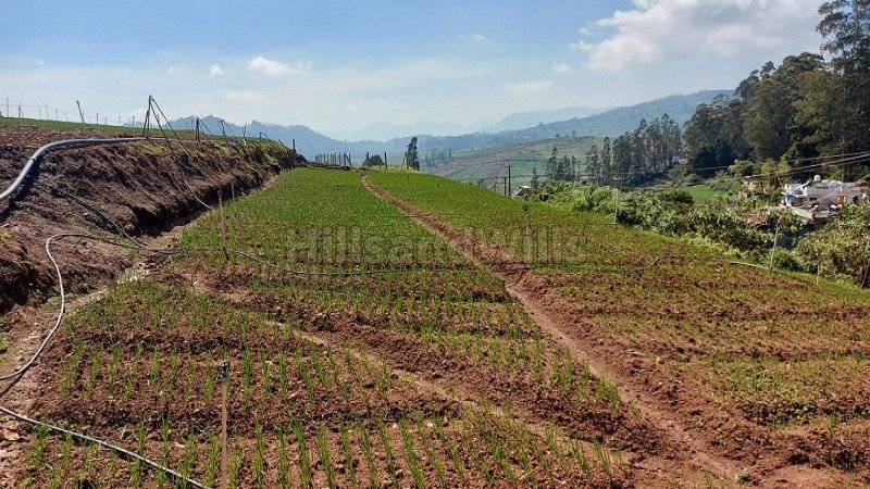 ₹3 Cr | 33 cents agriculture land for sale  in muthorai palada ooty