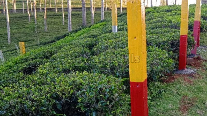 ₹1.30 Cr | 5 cents residential plot for sale  in kannerimukku kotagiri