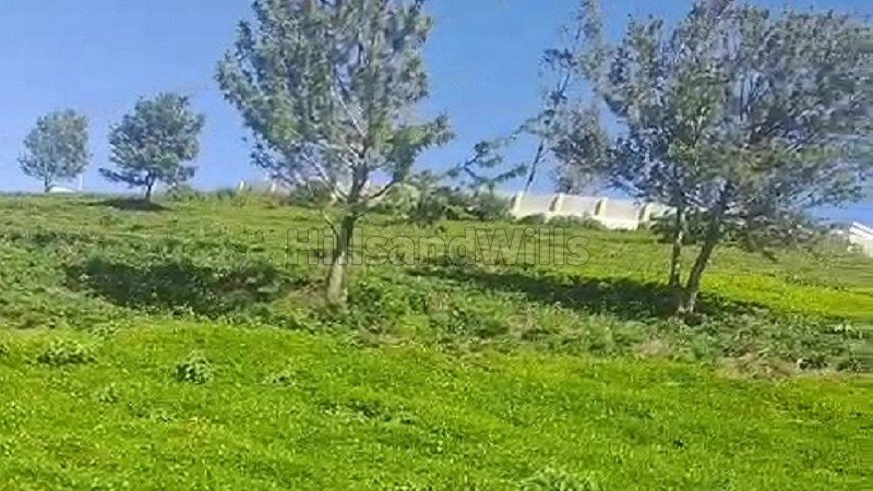 ₹2.12 Cr&nbsp;|&nbsp;1.25 acres  tea garden land for sale  in kanacombai kotagiri