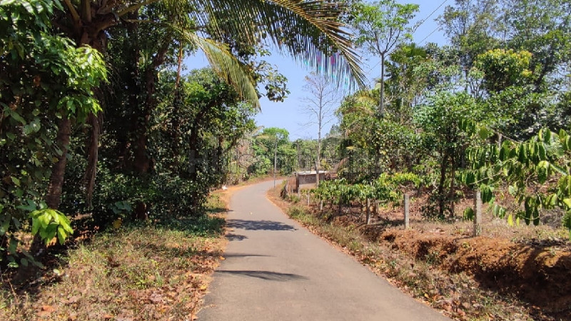 ₹1.20 Cr | 6 acres residential plot for sale in vimalanagar mananthavady wayanad