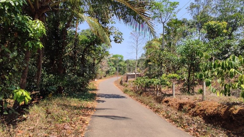 ₹1.20 Cr | 6 acres residential plot for sale  in vimalanagar mananthavady wayanad