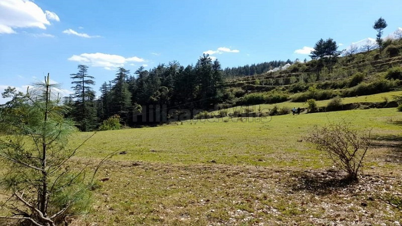 ₹2.80 Cr | 14 bigha Agriculture Land For Sale in between Kufri and Narkanda Shimla
