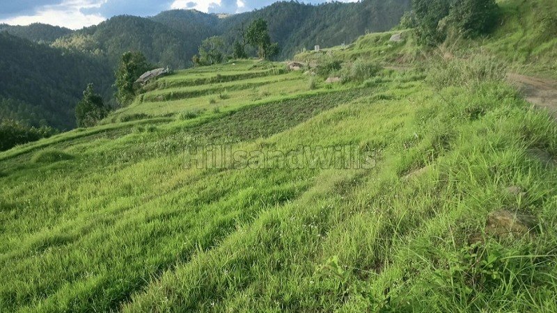 ₹3.50 Cr | 6.5 nali residential plot for sale  in almora mall road near nainital