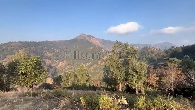 ₹3.50 Cr | 10 bigha agriculture land for sale in hathipao mussoorie