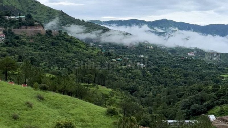 ₹56 Lac | 1bhk apartment for sale  in mall road solan