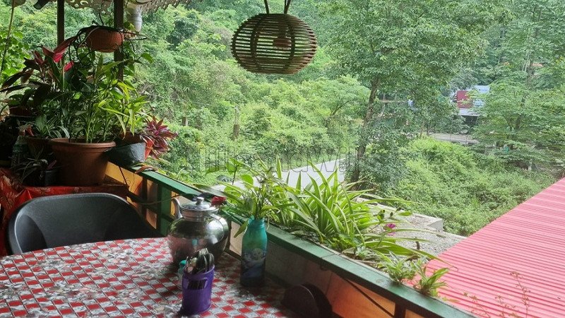 ₹98 Lac | 1500 sq. ft restaurant for sale  in kurseong on darjeeling-siliguri route, siliguri along with 500 sq.ft. land