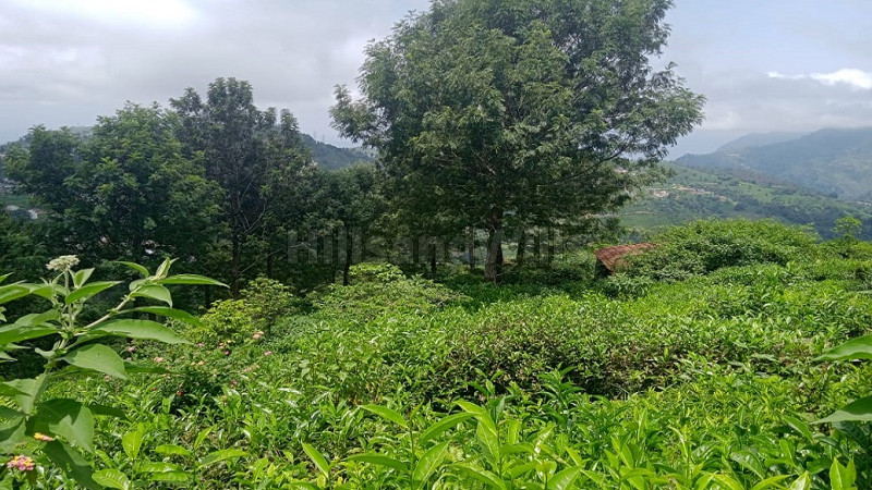 ₹5.04 Cr | 2.52 acres agriculture land for sale in aravenu kotagiri