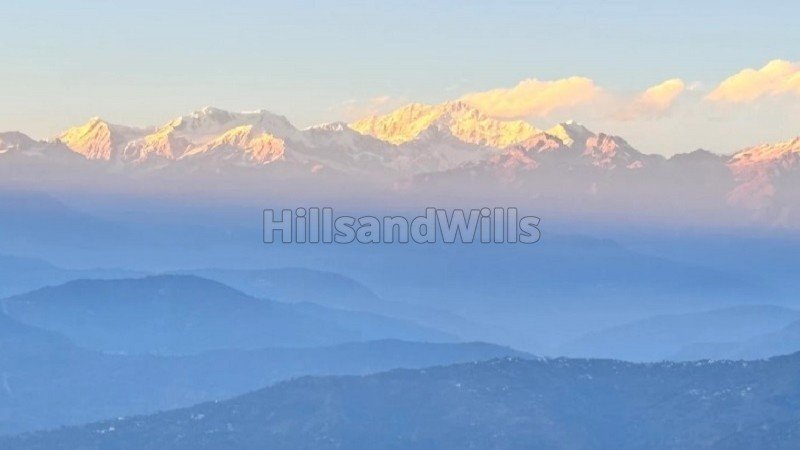 ₹1 Cr | 1200 sq. ft homestay for sale  in lamahatta darjeeling along with 2.5 decimal land