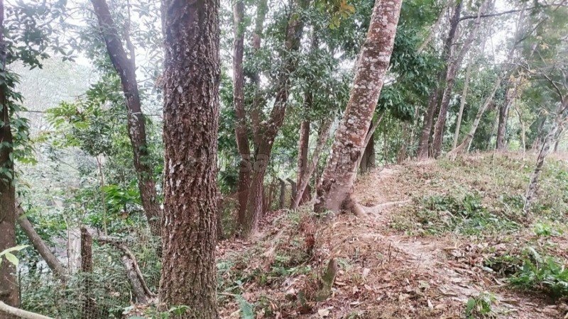 ₹4 Cr | 2900 sq.meter  himalayan view residential plot for sale  in kalimpong darjeeling