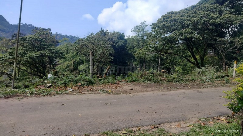 ₹75 Lac | 25 cents residential plot for sale in mankulam road munnar