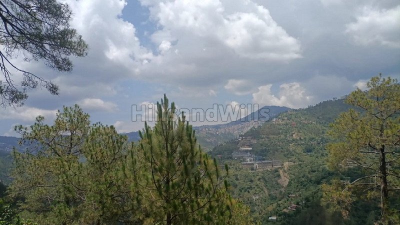 ₹1.20 Cr | 3 bigha commerical land for sale  in shoghi shimla