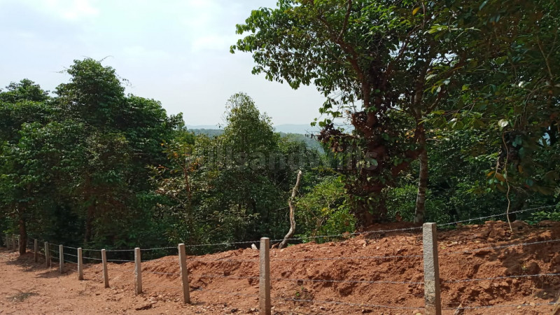 ₹5 Cr | 5 acres Agriculture Land For Sale in Madikeri Coorg
