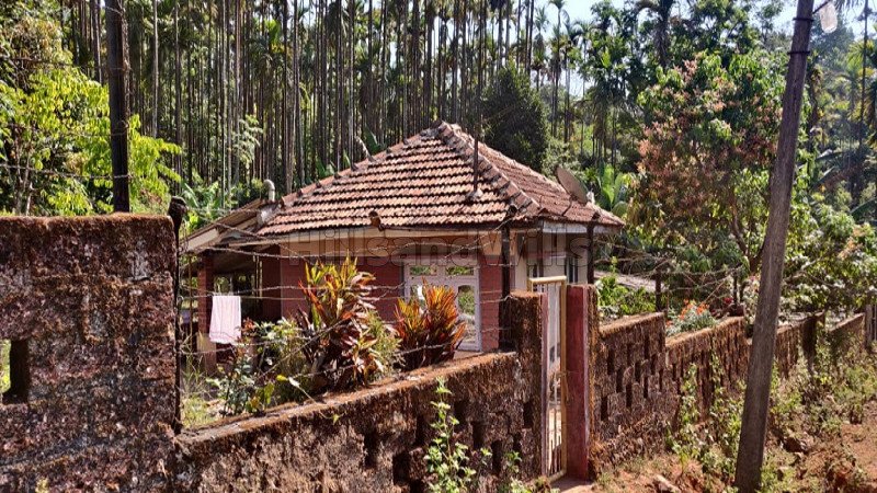 ₹2 Cr | 4 acres agriculture land for sale  in kalasa, samse chikmagalur