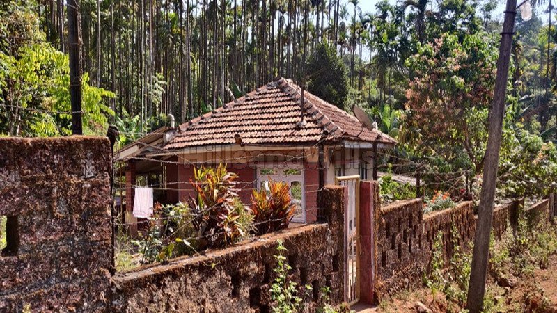 ₹2 Cr | 4 acres agriculture land for sale in kalasa, samse chikmagalur