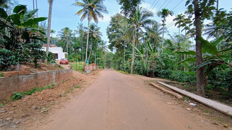 ₹30.23 Lac | 155 cents residential plot for sale in pulpally wayanad