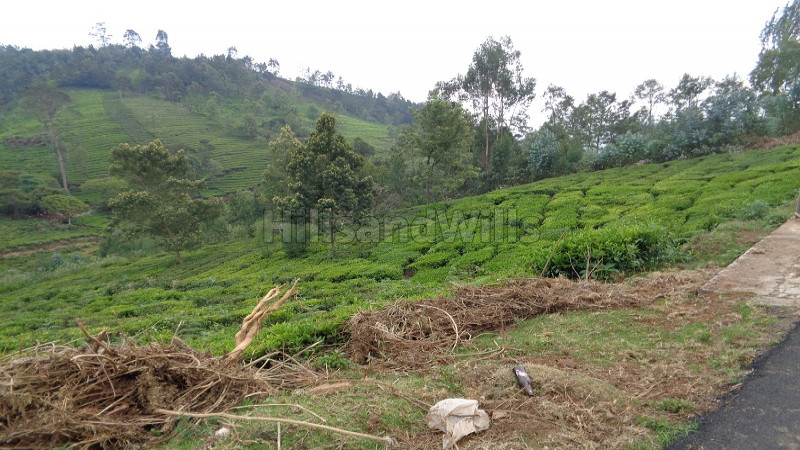 ₹59.50 Lac | 35 cents Residential Plot For Sale in near Yellanalli, Ooty