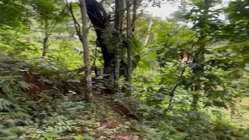 ₹40 Lac | 82 cents rubber estate for sale  in vanchikavala idukki