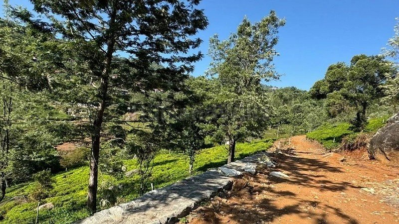 ₹3.50 Cr | 1 acres agriculture land for sale  in kotagiri