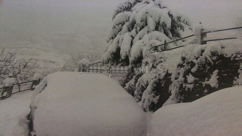 ₹3 Cr | 3bhk  snow clad himalayan view cottage for sale  in mukteshwar nainital