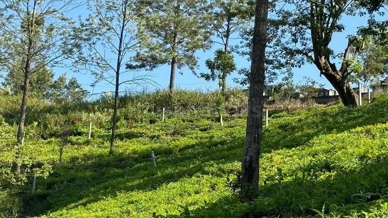 ₹3.50 Cr | 1 acres agriculture land for sale  in kotagiri