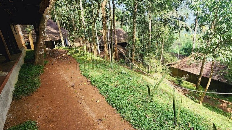 ₹6 Cr | 14bhk farm house for sale  in sulthan bathery wayanad