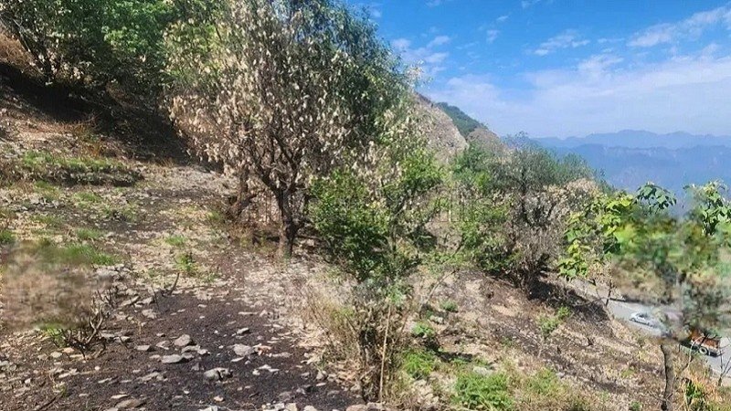 ₹3 Cr&nbsp;|&nbsp;1320 sq.yards agriculture land for sale  in narendra nagar rishikesh