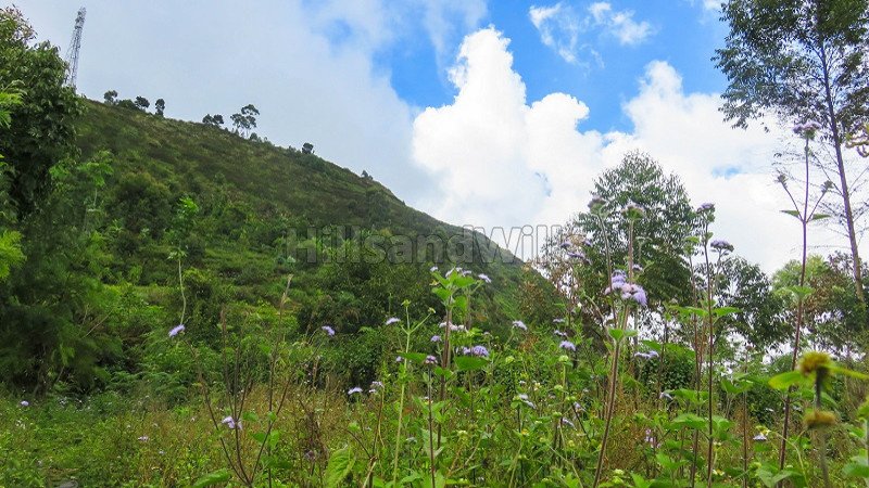 ₹35 Lac | 3 acres agriculture land for sale  in kodaikanal