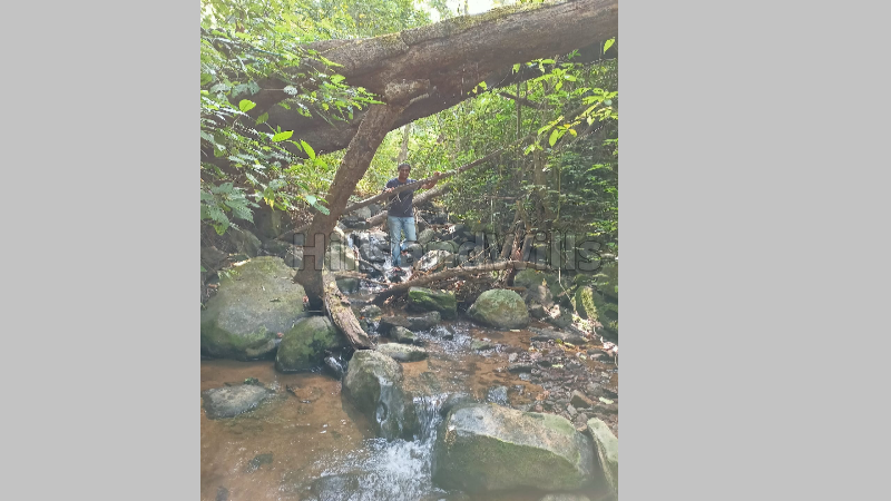 ₹1.80 Cr | 6 acres agriculture land for sale  in somwarpet coorg